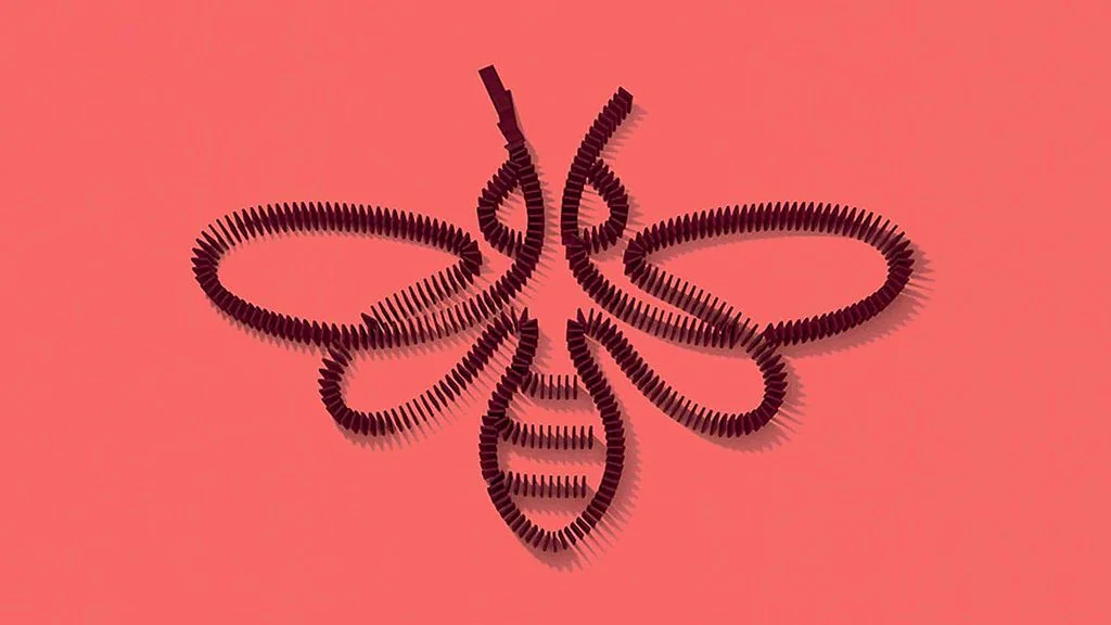 Landor design project for IUCN