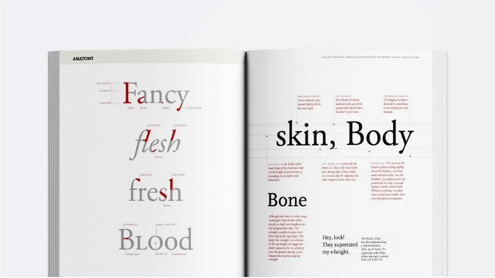 Inside pages of the book "Thinking with Type"