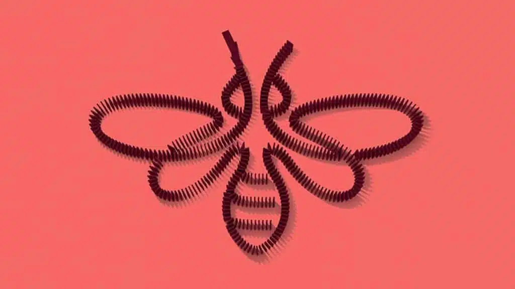 Landor design project for IUCN