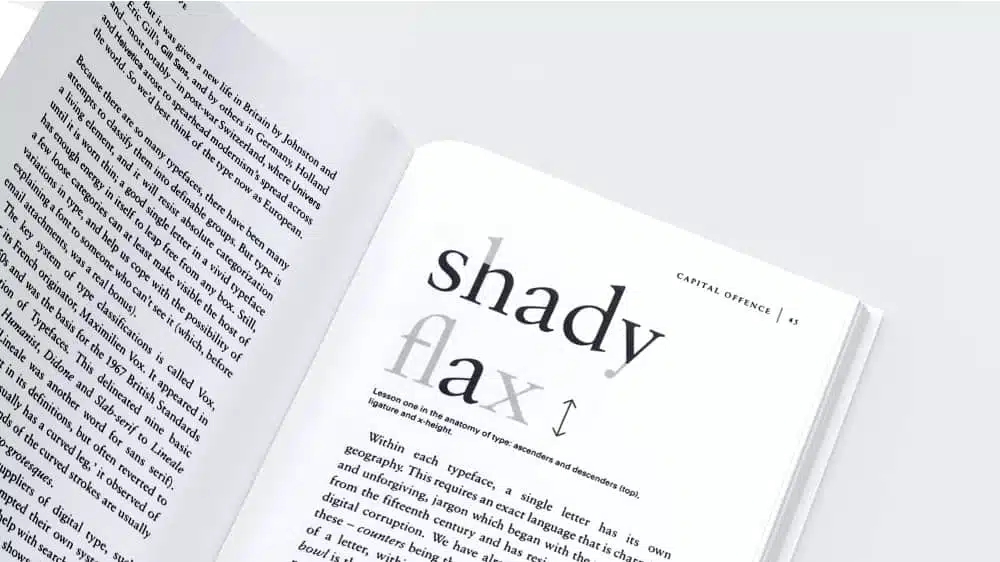Inside pages of the book "Just my Type".