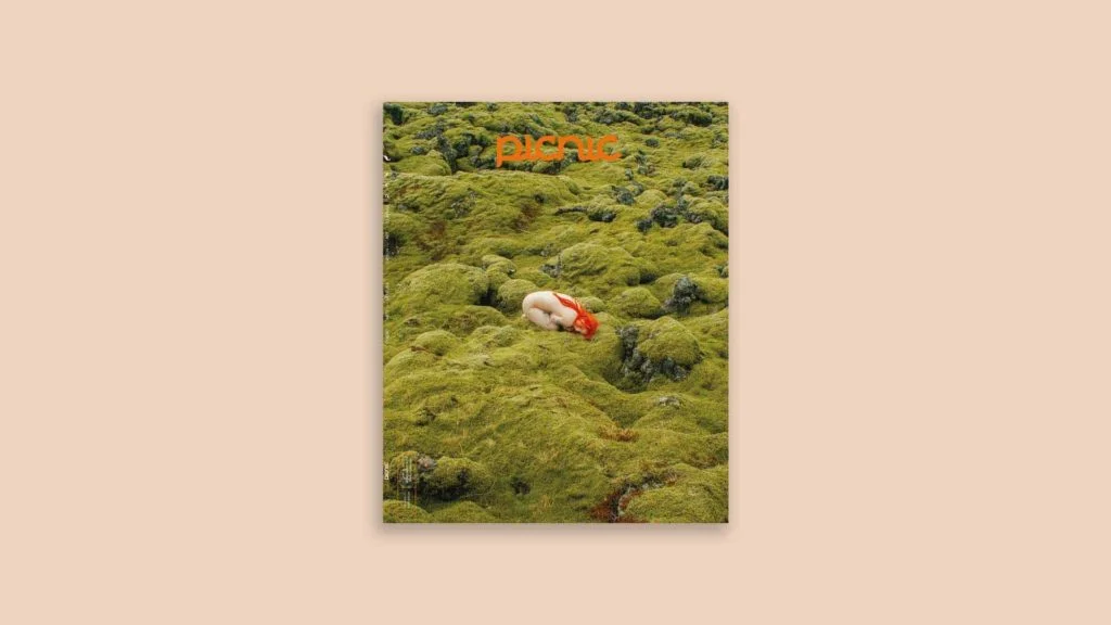 Revista Picnic, portada